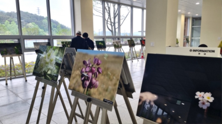 사진_광주시립수목원 야생화 사진전시회 (1).jpg