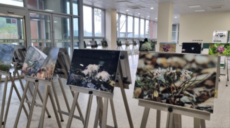 사진_광주시립수목원 야생화 사진전시회 (2).jpg